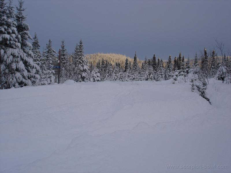 DSC00754.JPG