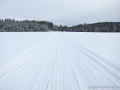 IMG_0181